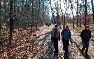 Listopadová výprava